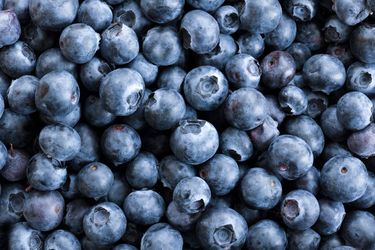 Blueberries are a favourite of many children