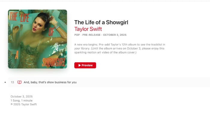 Taylor Swift fans speculate about hidden track on TS12