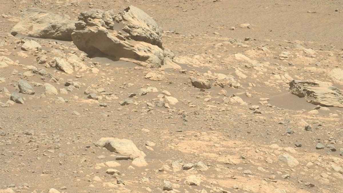 NASA Perseverance discovers possible meteorite on Mars