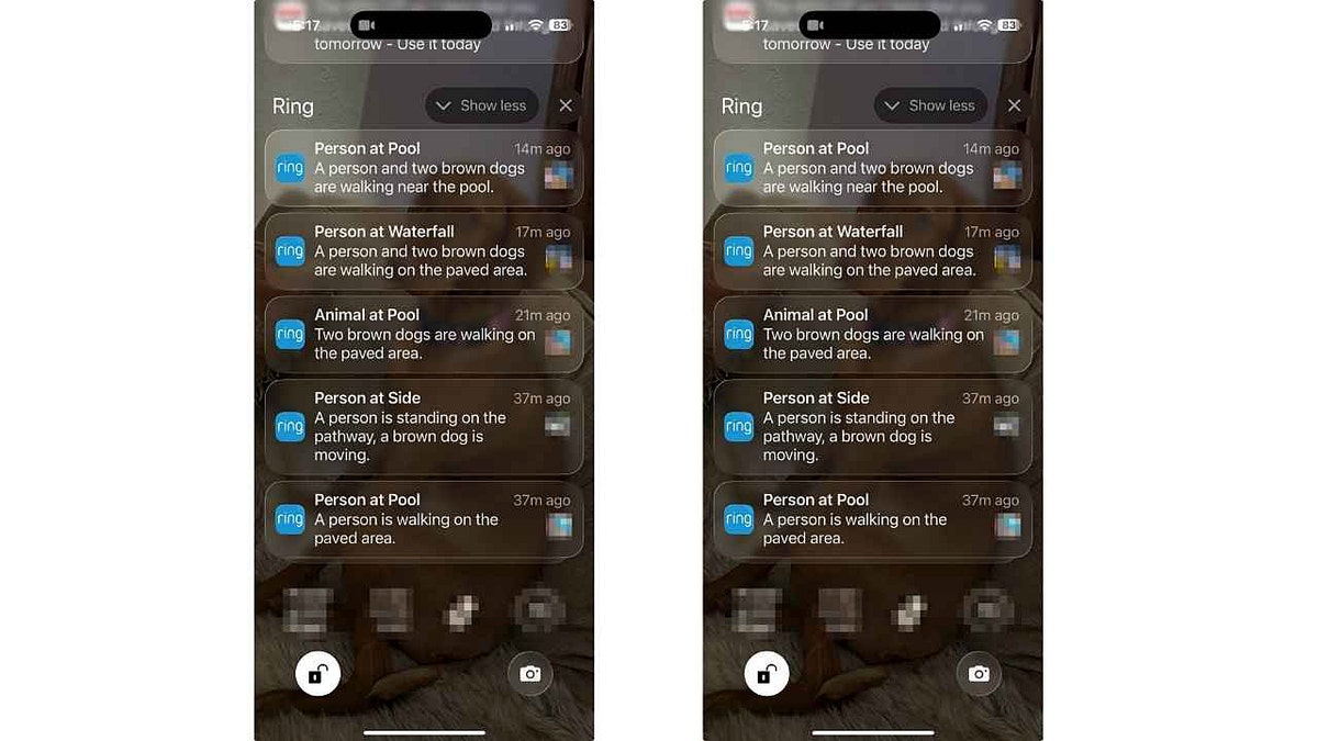 Ring doorbell notifications on an iPhone screen